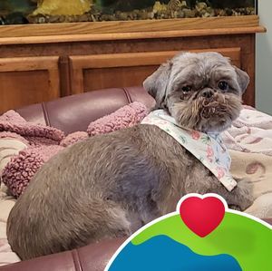 Meet your Posher, Terry